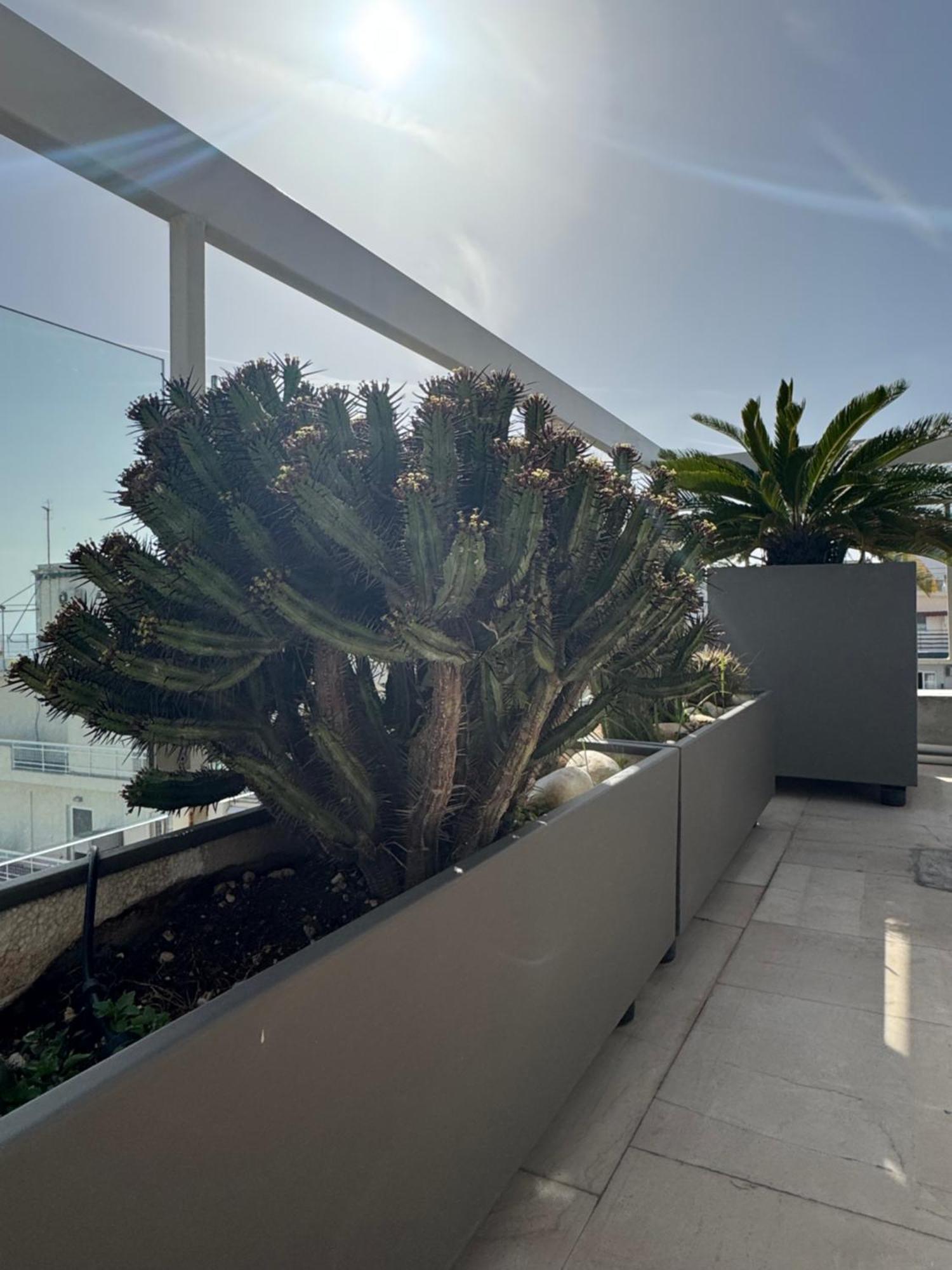 Ferienwohnung Sea Horizon Penthouse Flat Athen Exterior foto